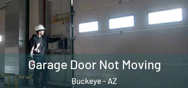  Garage Door Not Moving Buckeye - AZ