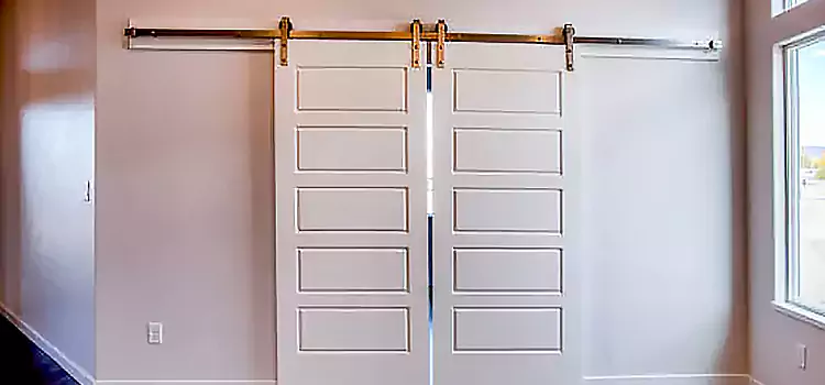 Glass Barn Door with Installation Hardware Kit Buckeye