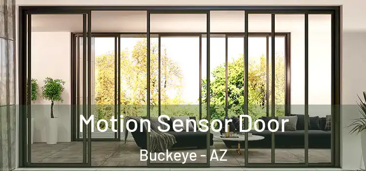Motion Sensor Door Buckeye - AZ